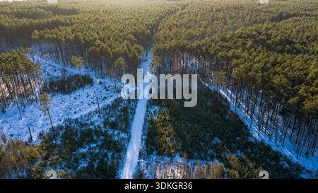 Aus der Vogelperspektive einer schneebedeckten Straße in einem polnischen Kiefernwald. Lange Baumschatten erstrecken sich im späten Nachmittagslicht, zwei winzige Figuren laufen und bewirtschaftete Zone Stockfoto