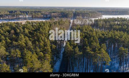 Aus der Vogelperspektive führt eine enge Straße durch hohe Kiefern in Polen. Gefrorene Felder liegen jenseits der Baumgrenze, lange blaue Schatten erstrecken sich in klarem Winterlicht Stockfoto