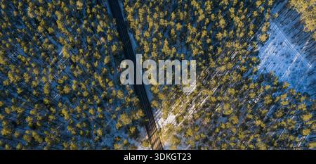 Aus der Vogelperspektive einer geraden dunklen Straße durchschneidet einen dichten Nadelwald in Polen. Niedrige Sonne wirft lange parallele Baumschatten auf blauweißen Schnee, schwache Spuren A Stockfoto