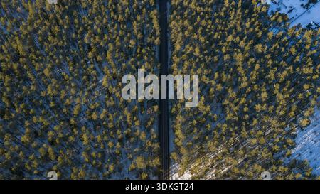 Aus der Vogelperspektive einer geraden dunklen Straße durch verschneite Kiefernwälder in Polen. Lange Baumschatten erstrecken sich diagonal im späten Nachmittagslicht, mit Gebäuden Stockfoto