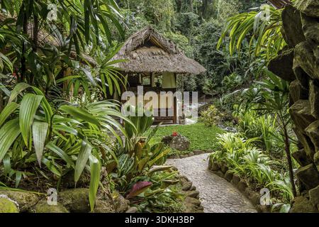 Ein Stroh jungle Cottage im Regenwald am Ufer eines Baches. Ubud, Bali, 14. April 2018 Stockfoto
