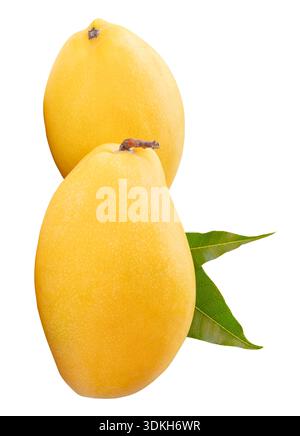 Zwei reife gelbe Mangobrüchte mit grünen Blättern im Stapel sind auf weißem Hintergrund mit Beschneidungspfad isoliert. Stockfoto