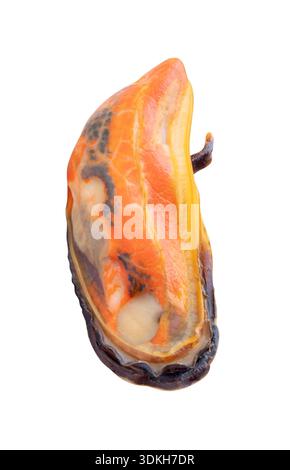 Seitenansicht einer gekochten grünen Muschel ohne Schale ist auf weißem Hintergrund mit Schnittpfad isoliert. Stockfoto