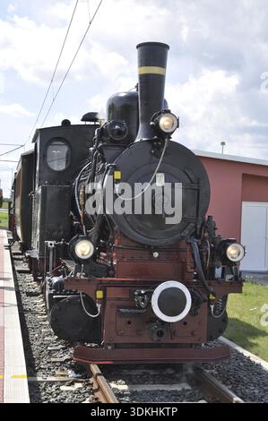 Dampflokomotive, Lokomotive, Eisenbahn, historisch, nostalgisch, feuriger Elias, Lokomotive 7, Darmstadt, Museumsbahn, Schmalspurlokomotive Stockfoto