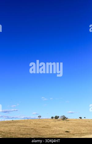 Australisches Farmland für Rinderweiden. Weitläufige, offene Ebenen von Farmland in Australien mit einem großen blauen Himmel als Kopierraum; ein Symbol der Landwirtschaft Stockfoto