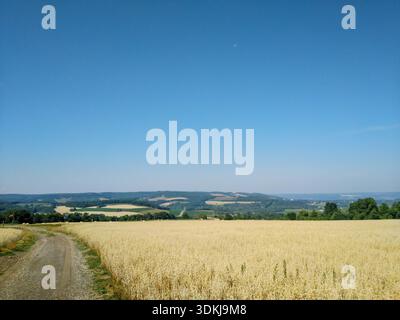 Ländliche Feldstraße, die durch goldenes Weizenfeld mit Hügeln am Horizont führt. Stockfoto
