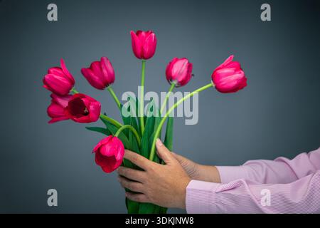 Zwei Hände in rosa gestreiftem Hemd mit frischem, rotem Tulpenstrauß, Studioaufnahme mit weichem Fokus und Kopierbereich Stockfoto