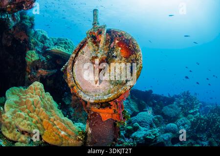 Ein Ordertelegraph ruht auf dem Bug der Fujikawa Maru, einem japanischen Frachtschiff, das während des Zweiten Weltkriegs in der Truk Lagune, heute bekannt als Chuuk Lagune, in versenkt wurde Stockfoto