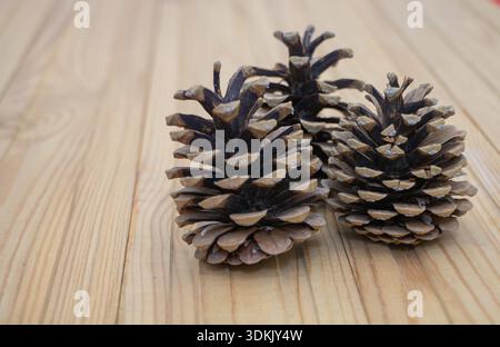 Drei Tannenzapfen auf hölzernem Tischhintergrund. Stockfoto