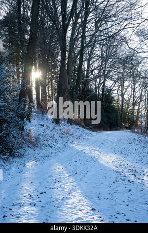 Winterwald mit Sonnenstrahlen, die durch die Bäume leuchten ein kalter Tag mit Schnee und Frost auf Wanderwegen Stockfoto
