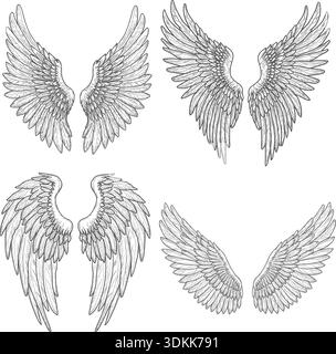 Falken- oder Adlerflügel, skizzieren. Vektorabbildung. Set aus Vogelflügeln und Federn, isoliert auf weißem Hintergrund. Mystische Engel oder griffin Flügel für Stock Vektor