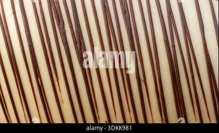 Abstrakter beiger und brauner Texturhintergrund mit Farbverlauf Stockfoto