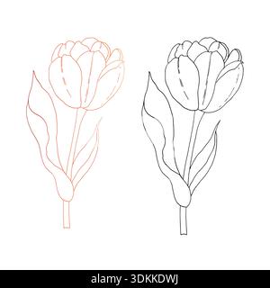 Vektor Tulpenblume. Grafik ostern handgezeichnete Illustration isoliert auf Hintergrund. Botanik und Hochzeit, Baby Clip Art. Für Grußkarte, Hintergrundbild Stock Vektor