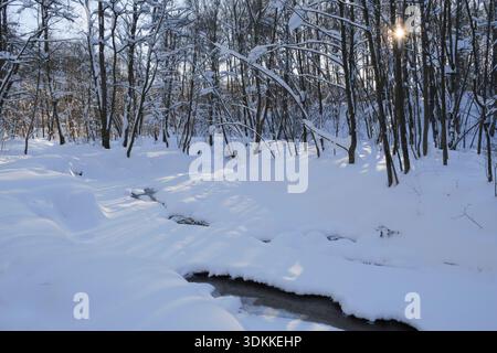 Schöne Winterlandschaft mit Schnee bedeckt Bäume und gefrorenen Wald Fluss. Stockfoto