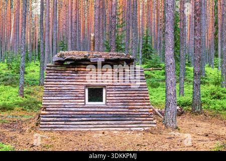 Holzhütte in einem Kiefernwald Stockfoto