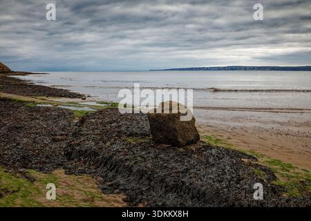 Ein einsamer Felsbrocken liegt auf Meeresalgen übersäten Felsen an einem Sandstrand unter weichen, abfallenden Klippen mit ruhigem Meer, Filey, North Yorkshire, England. Stockfoto