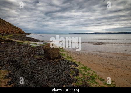 Ein einsamer Felsbrocken liegt auf Meeresalgen übersäten Felsen an einem Sandstrand unter weichen, abfallenden Klippen mit ruhigem Meer, Filey, North Yorkshire, England. Stockfoto