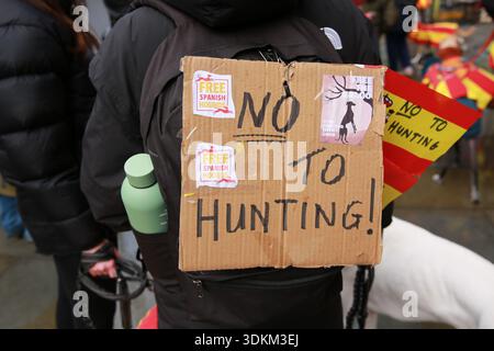 London, Großbritannien. Februar 2026. Demonstranten marschieren und demonstrieren durch das Zentrum Londons, einschließlich des Bezirks Belgravia, um galgos und podencos, spanische Jagdhunde, zu unterstützen. Demonstranten tragen Plakate, auf denen Änderungen der spanischen Gesetze gefordert werden, während einige Hunde rot-gelbe Überzüge in den Nationalfarben tragen. Der von Free Spanish Hounds und der NAC-Plattform organisierte marsch und der Protest lenken die Aufmerksamkeit auf das Schicksal zehntausender Hunde, die jedes Jahr nach Ende der Jagdsaison in Spanien verlassen oder getötet werden. Quelle: Waldemar Sikora / Alamy Live News Stockfoto