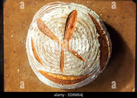 Hausgemachte, rustikale Sauerteigbrotlaib mit rundem Brot, die Ringe des Bannetts sind sichtbar bemehlt und auf einem Blatt Pergament eingekerbt Stockfoto