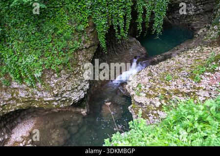 Eine kleine Kaskade fließt durch eine enge Kalksteingrube in ein türkisfarbenes Becken im Westen Georgiens, mit Weinstöcken und moosigem Felsen, weichem Tageslicht und hell Stockfoto