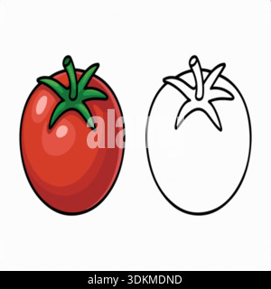 Bunte Zeichentricktomaten-Illustration neben schwarzer Umrisszeichnung auf einem sauberen weißen Hintergrund für pädagogische Zwecke Stock Vektor