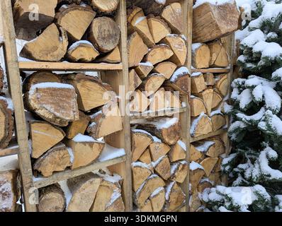 Rustikaler Schuppen mit ordentlich angeordneten Baumstämmen. Schneebedeckter Brennholzstock neben immergrünem Baum. Homestead-Szene mit Holzstapel mit frischem Schnee und Stockfoto