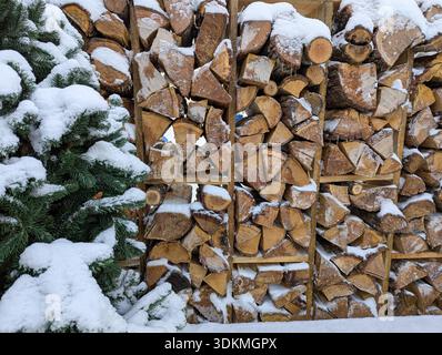 Schneebestaubter Holzstapel neben immergrünem Baum, rustikaler Schuppen, der ordentlich gespaltene Stämme mit leichtem Neuschnee an den Kanten umrahmt, raue Rinde Stockfoto
