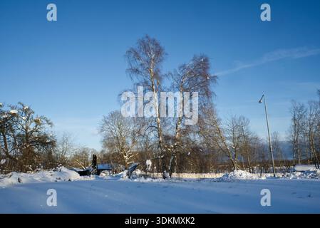 Eine Schneelandschaft in schweden Stockfoto