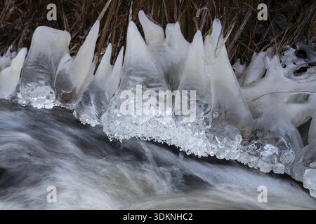 Zähne-ähnliche Eisskulpturen am Ufer eines schnell fließenden Baches, Winter, in der Nähe von Heinola, Finnland Stockfoto