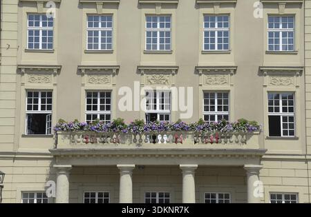 Thon Dittmer Schloss, Haidplatz, Regensburg, Platz, Turm, Ostbayern, Bayern, Deutschland, Bundesrepublik Deutschland, Altstadt, Stadtzentrum, pict Stockfoto
