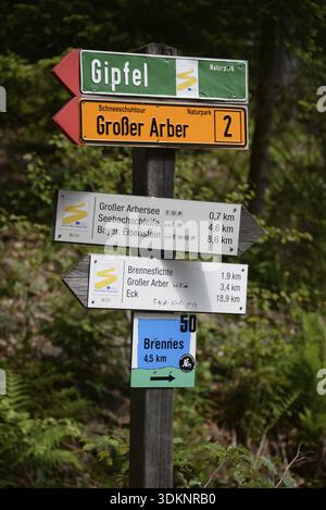 Wegweiser, Arbersee, Schild, Schilder, Arber, großer Arber, großer Arbersee, Wanderweg, Wanderwege, Bayerischer Wald, Bayern Stockfoto