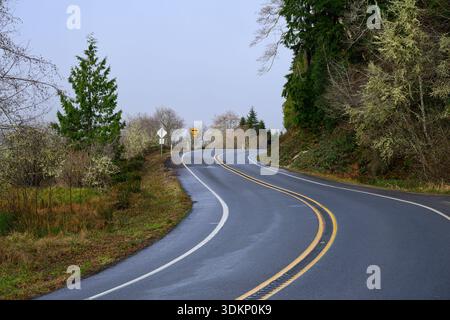Die Straße schlängelt sich durch die üppige Landschaft ohne Überholer doppelter gelber Linien Stockfoto
