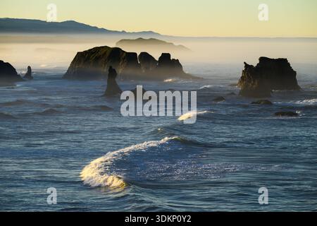 Das Meer stapelt sich am frühen Morgen im Nebel entlang des Pazifiks, während die Wellen über die malerische Aussicht Rollen Stockfoto