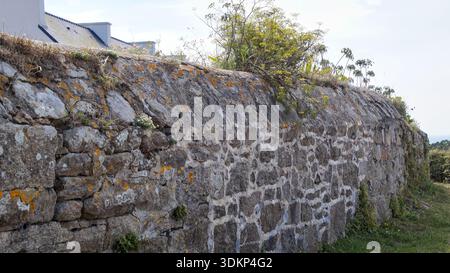 Verwitterte Steinmauer, bedeckt mit wilder Vegetation und Moos, zeigt natürliches Wachstum und veraltete Texturen. Stockfoto