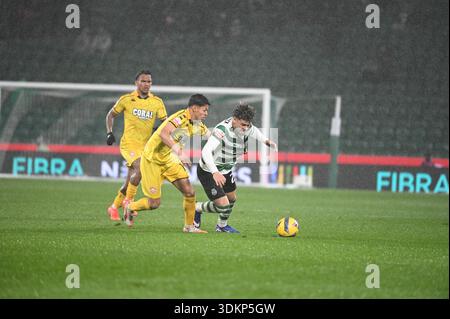 Lissabon, Portugal. 1. Februar 2026. Sporting CP gegen Nacional für die portugiesische Liga im Estadio Jose Alvalade in Lissabon. Quelle: Ricardo Rocha / Alamy Live News Stockfoto