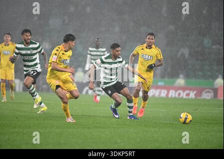 Lissabon, Portugal. 1. Februar 2026. Sporting CP gegen Nacional für die portugiesische Liga im Estadio Jose Alvalade in Lissabon. Quelle: Ricardo Rocha / Alamy Live News Stockfoto