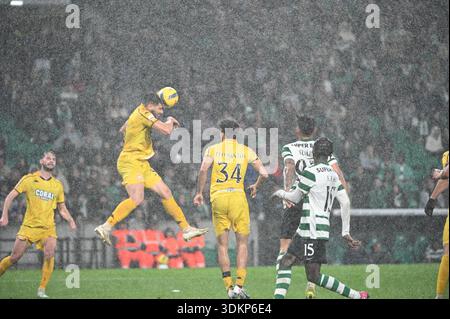 Lissabon, Portugal. 1. Februar 2026. Sporting CP gegen Nacional für die portugiesische Liga im Estadio Jose Alvalade in Lissabon. Quelle: Ricardo Rocha / Alamy Live News Stockfoto
