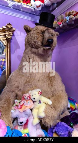 Picayune, Mississippi, USA. Februar 2026. Das Teddy Bear House Museum befindet sich eine Stunde nördlich von New Orleans und zeigt mehr als 100.000 Bären-bezogene Gegenstände in seiner Sammlung. Hervorzuheben sind die Artikel, die sich auf Präsident Teddy Roosevelt beziehen, nach dem der Teddybär benannt wurde. (Kreditbild: © Brian Cahn/ZUMA Press Wire) NUR REDAKTIONELLE VERWENDUNG! Nicht für kommerzielle ZWECKE! Stockfoto