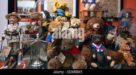 Picayune, Mississippi, USA. Februar 2026. Das Teddy Bear House Museum befindet sich eine Stunde nördlich von New Orleans und zeigt mehr als 100.000 Bären-bezogene Gegenstände in seiner Sammlung. Hervorzuheben sind die Artikel, die sich auf Präsident Teddy Roosevelt beziehen, nach dem der Teddybär benannt wurde. (Kreditbild: © Brian Cahn/ZUMA Press Wire) NUR REDAKTIONELLE VERWENDUNG! Nicht für kommerzielle ZWECKE! Stockfoto