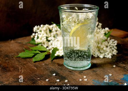 Glas-Sprudelwasser mit Zitronenscheibe Holunderblüten auf rustikalem Holztisch. Erfrischendes Sommergetränk mit natürlicher Blumendekoration. Stockfoto