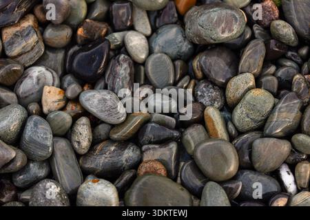 Nahaufnahme von nassen Felsen und Kieselsteinen an der Küste von Maine Stockfoto