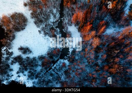 Aus der Vogelperspektive sehen Sie schneebedecktes Land, das durch einen dunklen Fluss und einen Wald mit Bäumen, die im warmen Sonnenlicht leuchten, geteilt ist und lebhafte Kontraste schafft. Stockfoto