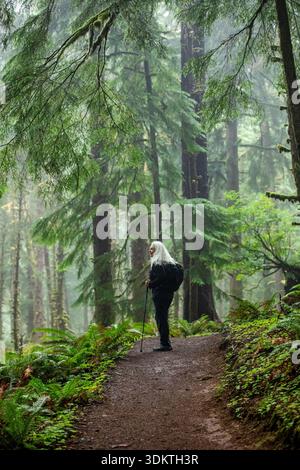USA, Oregon, Cannon Beach, Senior Wanderer auf dem Küstenpfad durch den Mammutwald Stockfoto