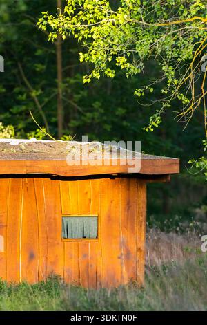 Rustikale Holzhütte in einer natürlichen Landschaft, umgeben von grünen Bäumen und Gras Stockfoto