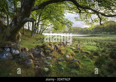 Blick auf die moosbedeckte Steinmauer, die zu einem ruhigen See führt, der von Bäumen mit frischen grünen Blättern und einer Wiese umgeben ist, Dalmally, Schottland, Großbritannien. Stockfoto