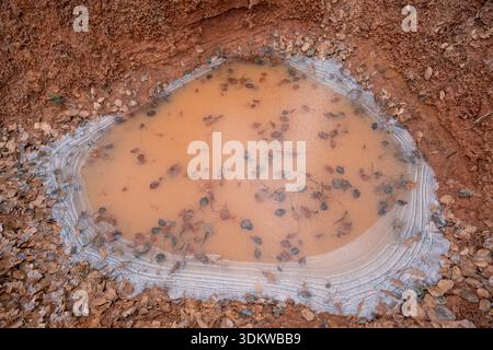 Weite Ansicht von oben auf eine teilweise gefrorene Schlammpfütze in einer roten Erdgrube. Gefrorene Schlammfütterung in rotem Lehm mit Herbstlaub von oben. Stockfoto