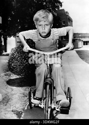 Dieses Werbefoto von 1959 zeigt den Kinderschauspieler Jay North, der für seine Rolle als Dennis Mitchell in der Fernsehserie Dennis the Menace bekannt ist. Er taucht mit einem entschlossenen, schelmischen Ausdruck auf, während er ein Dreirad auf einem Bürgersteig fährt. Das Bild fängt einen klassischen Moment jugendlicher Energie aus der Zeit ein. Stockfoto