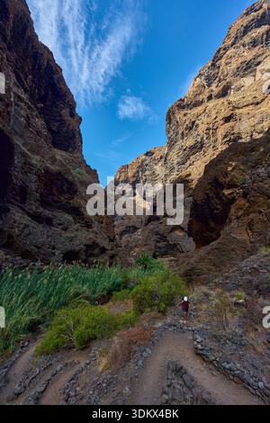 Weibliche Wanderer mit Helm auf dem Weg durch die majestätischen Klippen der Masca-Schlucht mit üppiger Vegetation und blauem Himmel Stockfoto
