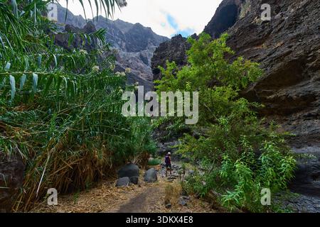 Weibliche Wanderer mit Helm auf dem Weg durch die majestätischen Klippen der Masca-Schlucht mit üppiger Vegetation und blauem Himmel Stockfoto