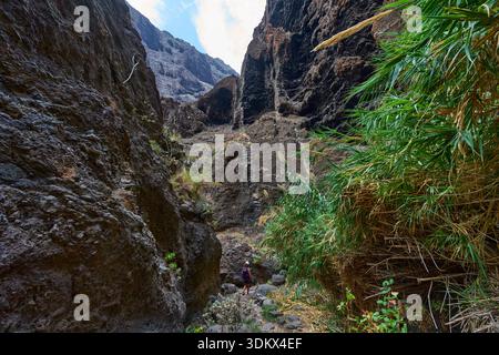 Weibliche Wanderer mit Helm auf dem Weg durch die majestätischen Klippen der Masca-Schlucht mit üppiger Vegetation und blauem Himmel Stockfoto
